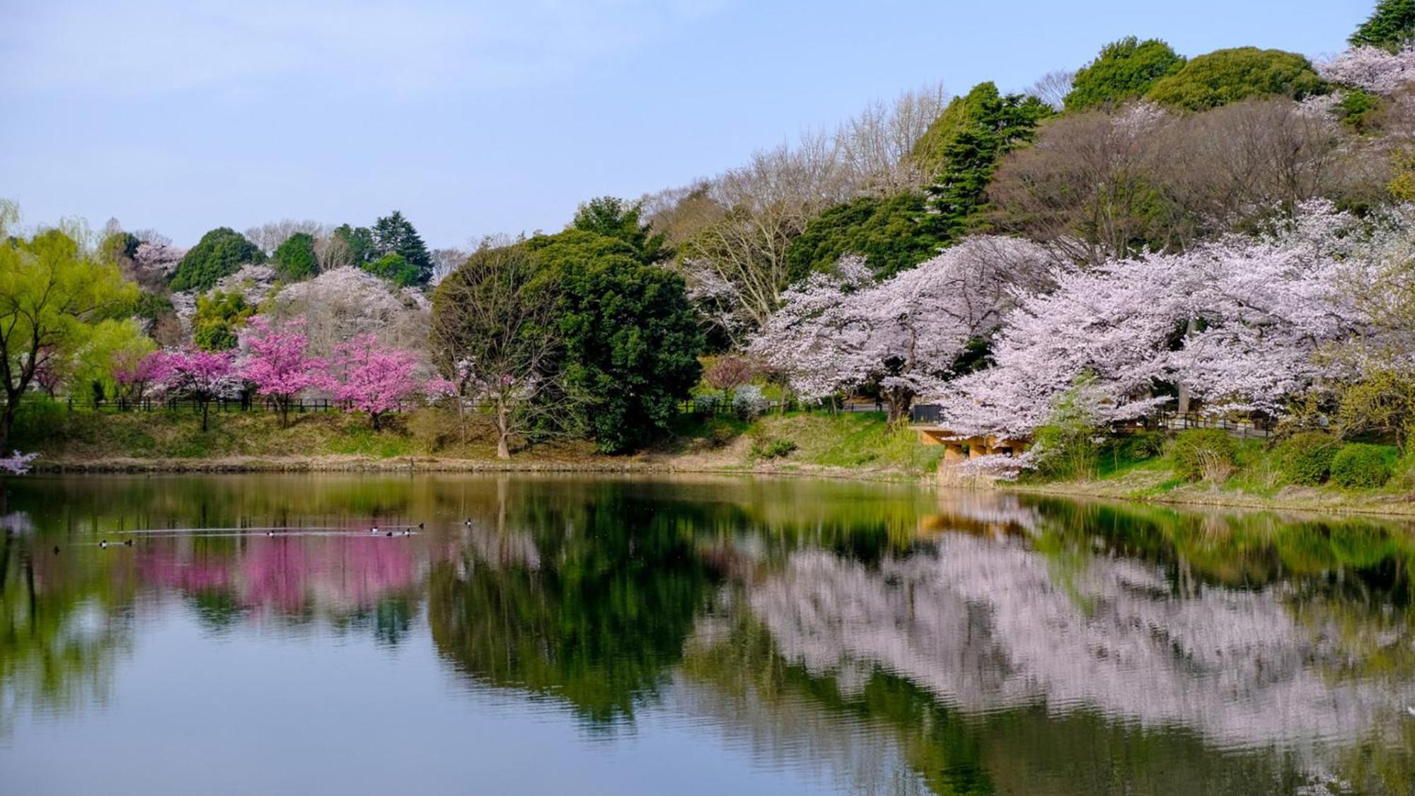 Toyoko Inn Yokohama Tsurumi Eki Higashi Guchi Kültér fotó